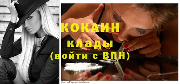 PSILOCYBIN Белокуриха