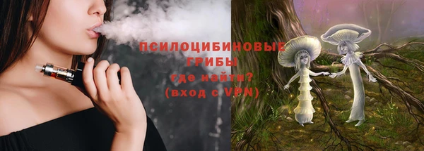 PSILOCYBIN Белокуриха