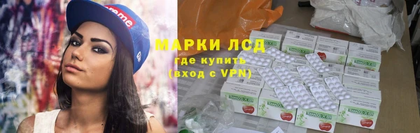 PSILOCYBIN Белокуриха