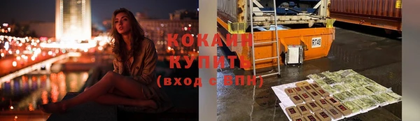 дмт Богданович