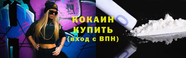 дмт Богданович