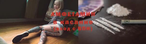 дмт Богданович