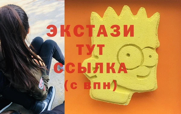 дмт Богданович