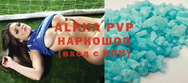 дмт Богданович