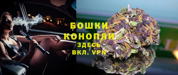 дмт Богданович