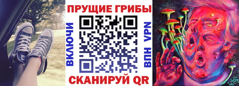 Псилоцибиновые грибы Psilocybine cubensis  Минусинск 