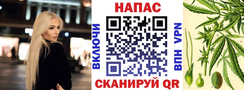 Бошки Шишки сатива  Минусинск 